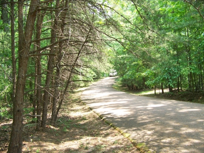 Points Of Pickwick Cove Building Lot Near Pickwick Lake - image 23