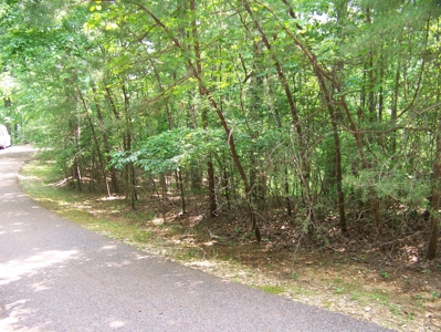 Points Of Pickwick Cove Building Lot Near Pickwick Lake - image 7
