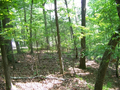 Points Of Pickwick Cove Building Lot Near Pickwick Lake - image 3