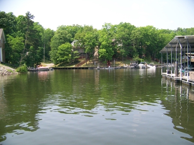 Points Of Pickwick Cove Building Lot Near Pickwick Lake - image 42