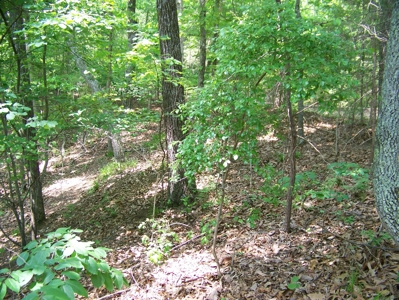 Points Of Pickwick Cove Building Lot Near Pickwick Lake - image 17