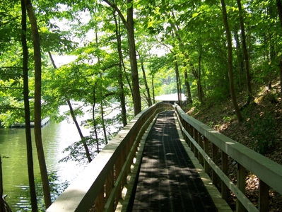 Points Of Pickwick Cove Building Lot Near Pickwick Lake - image 36