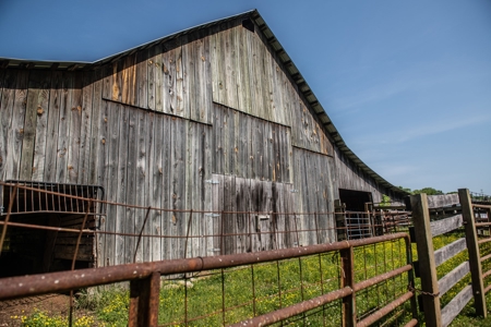 Farm For Sale In Tennessee Near Nashville Tn & Huntsville Al - image 17