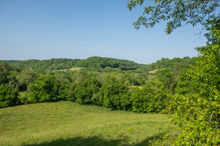 Farm For Sale In Tennessee Near Nashville Tn & Huntsville Al - image 32