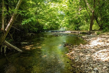Farm For Sale In Tennessee Near Nashville Tn & Huntsville Al - image 14