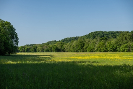 Farm For Sale In Tennessee Near Nashville Tn & Huntsville Al - image 36