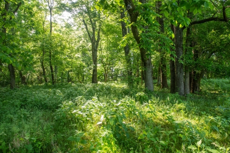 Farm For Sale In Tennessee Near Nashville Tn & Huntsville Al - image 28