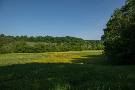 Farm For Sale In Tennessee Near Nashville Tn & Huntsville Al - image 34