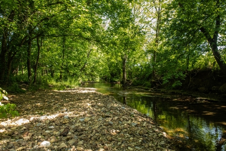 Farm For Sale In Tennessee Near Nashville Tn & Huntsville Al - image 13