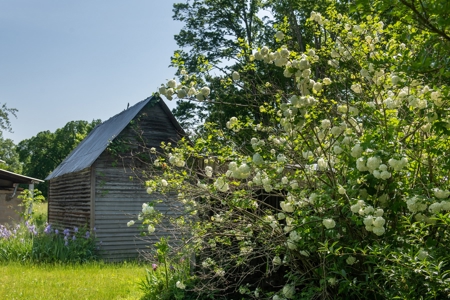 Farm For Sale In Tennessee Near Nashville Tn & Huntsville Al - image 7