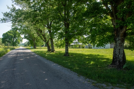 Farm For Sale In Tennessee Near Nashville Tn & Huntsville Al - image 2