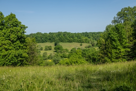 Farm For Sale In Tennessee Near Nashville Tn & Huntsville Al - image 26