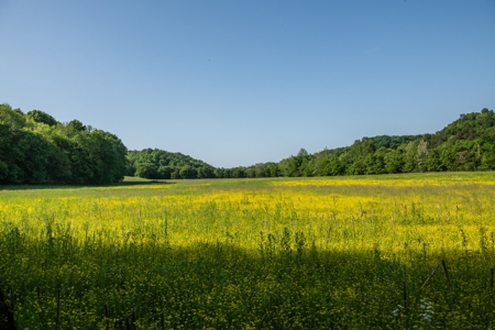 Farm For Sale In Tennessee Near Nashville Tn & Huntsville Al - image 37
