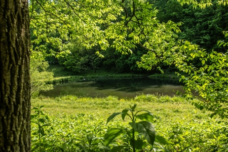 Farm For Sale In Tennessee Near Nashville Tn & Huntsville Al - image 22