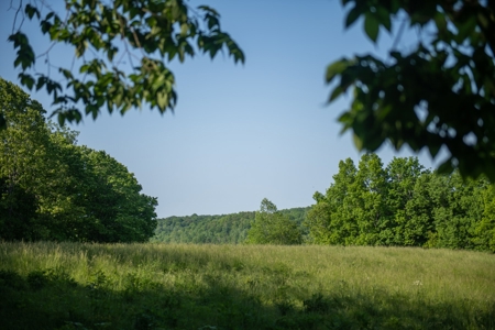 Farm For Sale In Tennessee Near Nashville Tn & Huntsville Al - image 27