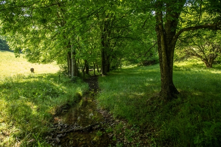 Farm For Sale In Tennessee Near Nashville Tn & Huntsville Al - image 19