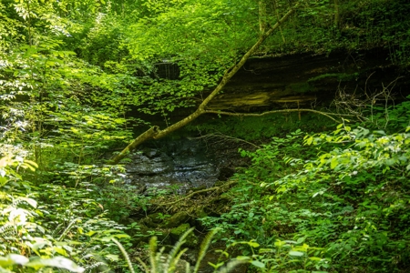 Farm For Sale In Tennessee Near Nashville Tn & Huntsville Al - image 23