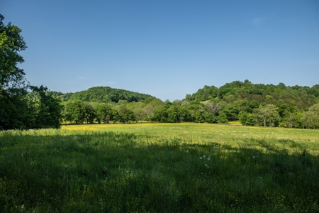 Farm For Sale In Tennessee Near Nashville Tn & Huntsville Al - image 33