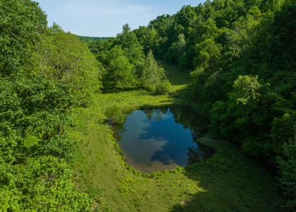 Farm For Sale In Tennessee Near Nashville Tn & Huntsville Al - image 50