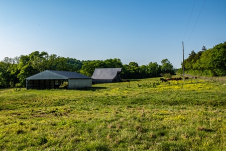 Farm For Sale In Tennessee Near Nashville Tn & Huntsville Al - image 43