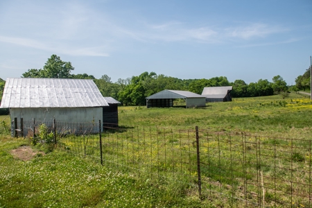 Farm For Sale In Tennessee Near Nashville Tn & Huntsville Al - image 6