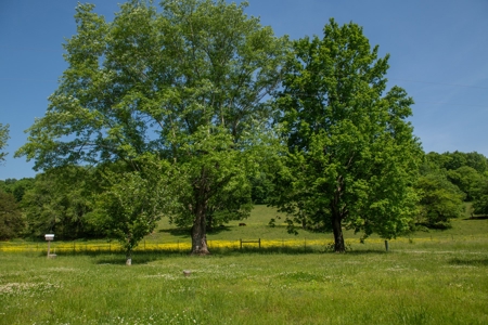 Farm For Sale In Tennessee Near Nashville Tn & Huntsville Al - image 10