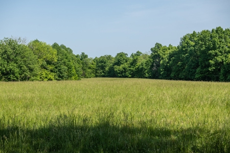 Farm For Sale In Tennessee Near Nashville Tn & Huntsville Al - image 24