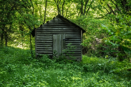Farm For Sale In Tennessee Near Nashville Tn & Huntsville Al - image 1