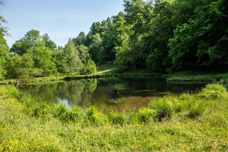 Farm For Sale In Tennessee Near Nashville Tn & Huntsville Al - image 21