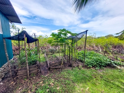 Small Private Island Home, Bocas del Toro - image 22