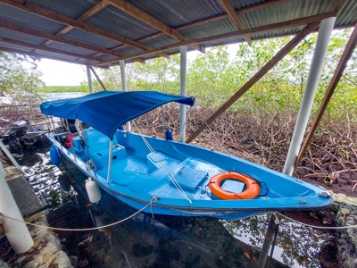 Small Private Island Home, Bocas del Toro - image 49