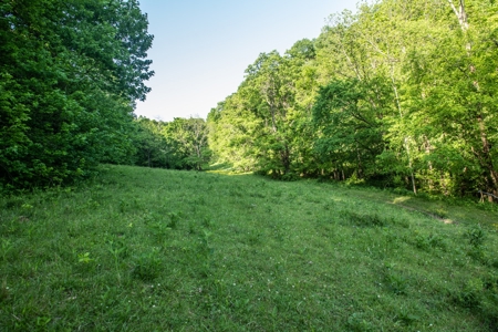 Land For Sale In Pulaski Tn Near Nashville Tn And Huntsville - image 12