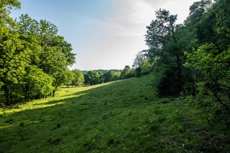 Land For Sale In Pulaski Tn Near Nashville Tn And Huntsville - image 21