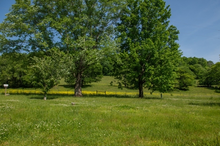 Land For Sale In Pulaski Tn Near Nashville Tn And Huntsville - image 9