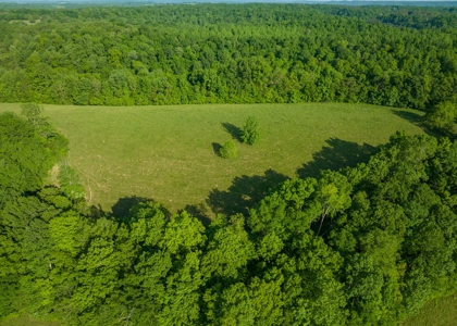 Land For Sale In Pulaski Tn Near Nashville Tn And Huntsville - image 7