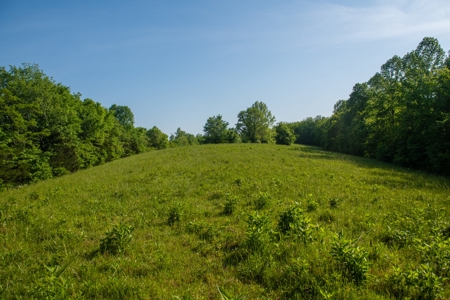 Land For Sale In Pulaski Tn Near Nashville Tn And Huntsville - image 15