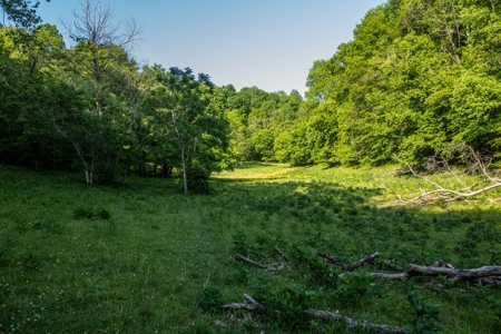 Land For Sale In Pulaski Tn Near Nashville Tn And Huntsville - image 13