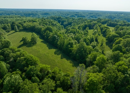 Land For Sale In Pulaski Tn Near Nashville Tn And Huntsville - image 4