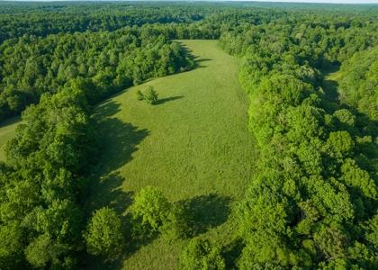 Land For Sale In Pulaski Tn Near Nashville Tn And Huntsville - image 8