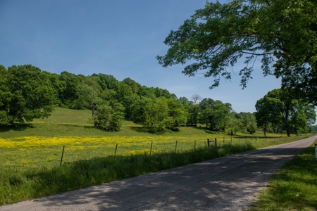 Land For Sale In Pulaski Tn Near Nashville Tn And Huntsville - image 10