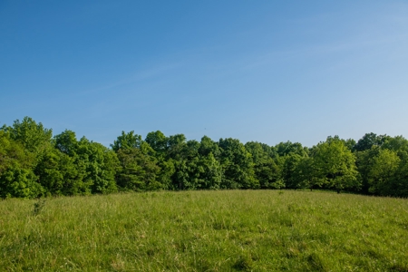 Land For Sale In Pulaski Tn Near Nashville Tn And Huntsville - image 18