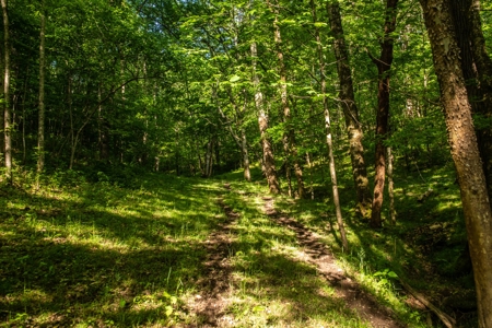 Land For Sale In Pulaski Tn Near Nashville Tn And Huntsville - image 14