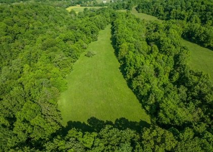 Land For Sale In Pulaski Tn Near Nashville Tn And Huntsville - image 2