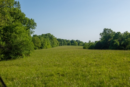 Land For Sale In Pulaski Tn Near Nashville Tn And Huntsville - image 16