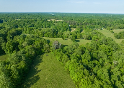 Land For Sale In Pulaski Tn Near Nashville Tn And Huntsville - image 5