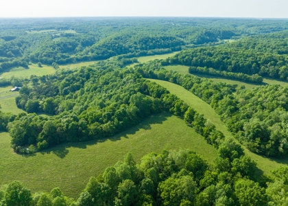 Land For Sale In Pulaski Tn Near Nashville Tn And Huntsville - image 6