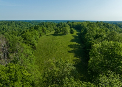 Land For Sale In Pulaski Tn Near Nashville Tn And Huntsville - image 3