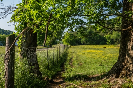 Land For Sale In Pulaski Tn Near Nashville Tn And Huntsville - image 1