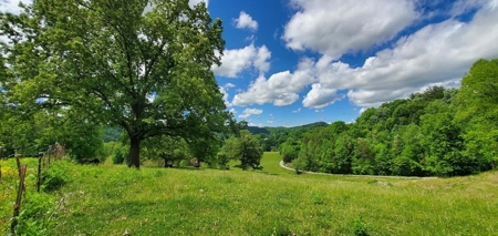 7.5 Acres Unrestricted Land in Sneedville, TN For Sale - image 17