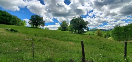 7.5 Acres Unrestricted Land in Sneedville, TN For Sale - image 8